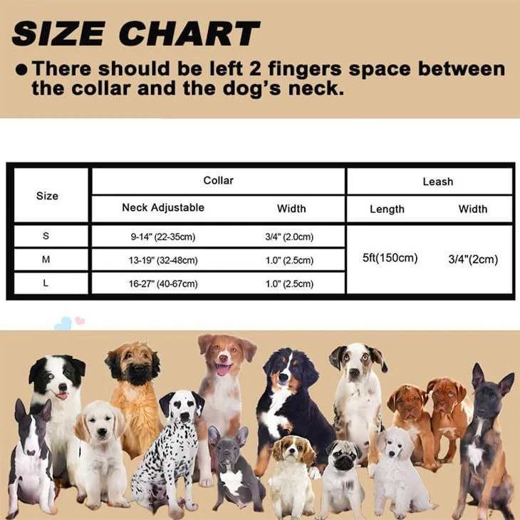 Soft Dog Collar And Leash Set